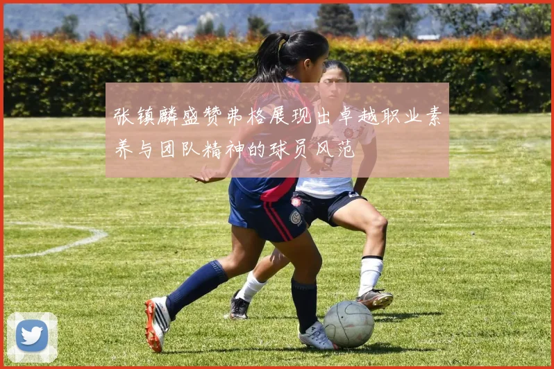 张镇麟盛赞弗格展现出卓越职业素养与团队精神的球员风范